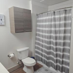 a bathroom with a toilet and a shower curtain at Midtown Downtown Breeze in Houston