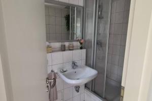 a bathroom with a sink and a shower at Ferienwohnung bei Lübeck in Lüdersdorf +19 photos