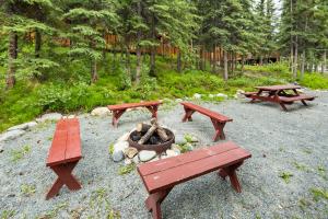 Ein Garten an der Unterkunft Denali Crow's Nest Cabins