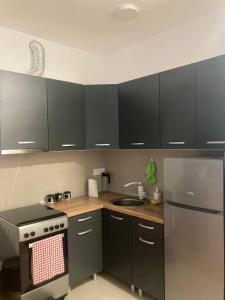a kitchen with black cabinets and a stainless steel stove at Apartmani Novi Sad Center in Novi Sad +9 photos