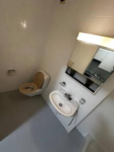 a white bathroom with a toilet and a sink at Zentral und komfortabel an der Kathedrale in Fribourg