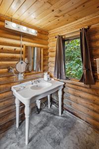 ein Badezimmer mit Waschbecken, Spiegel und Fenster in der Unterkunft Denali Crow's Nest Cabins in McKinley Park