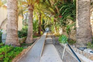 A garden outside Vivendos - TR17 - Roca Chica