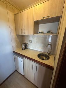 a small kitchen with a sink and wooden cabinets at Edificio Terravina in Tarija
