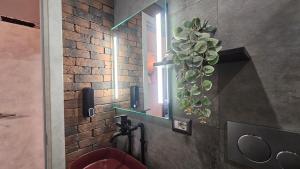 Koupelna v ubytování vatican street art + 164 fotografií