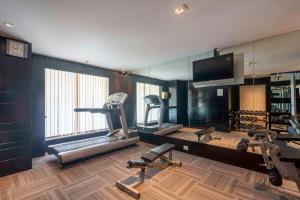 The fitness centre and/or fitness facilities at Svelte Delhi, a member of Radisson Individuals