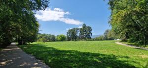 a grassy field with trees and a road at Agréable chambre in Prévessin-Moëns