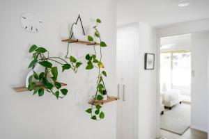 un soggiorno con una pianta sul muro di Highwater Haven - Ocean View Apartment. 300m to Beach. Pet Friendly ad Alexandra Headland