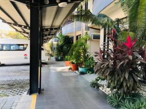迪利棕榈滩酒店 外面的花园