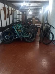 Jízda na kole v ubytování Hotel Alcazar Irun nebo okolí