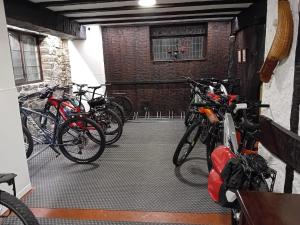 Jízda na kole v ubytování Hotel Alcazar Irun nebo okolí