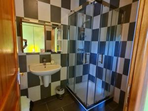 une salle de bain avec une douche en verre et un lavabo dans l'établissement Chambre cosy avec salle de jeux et terrasse, proche Belgique et Luxembourg - FR-1-584-329, à Boismont