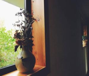 Fotografija u galeriji objekta Wake up and Thrive u gradu Raglan