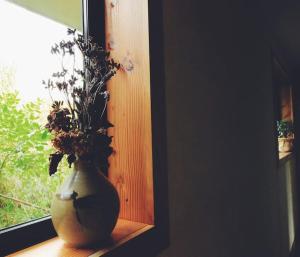 Fotografija u galeriji objekta Wake up and Thrive u gradu Raglan
