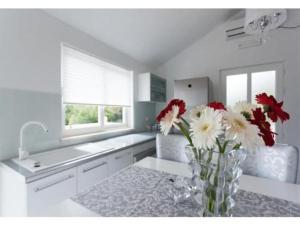 a white kitchen with a vase of flowers on a table at Apartments Villa Dinga - Borak - Two Bedroom Apartment with Balcony and Sea View Silver in Potomje