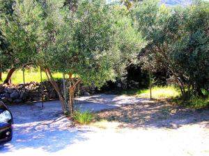 Fotografie z fotogalerie ubytování Apartments Lina - Two Bedroom Apartment with Terrace A1 v destinaci Brsečine + 11 fotografií