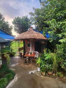 Zahrada ubytování Wildflow jungle yoga safari and homestay