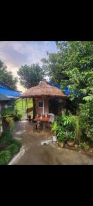 Zahrada ubytování Wildflow jungle yoga safari and homestay