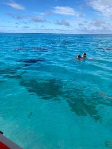 Fotografie z fotogalerie ubytování Pension Taputea v destinaci Te-Fare-Arii + 10 fotografií