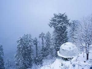Fotografie z fotogalerie ubytování GlampEco Manali v destinaci Manāli