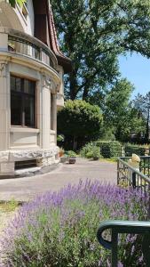 Zahrada ubytování Villa unique, piscine et grand parc, Vorbourg 15