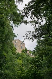 Príroda v okolí vily