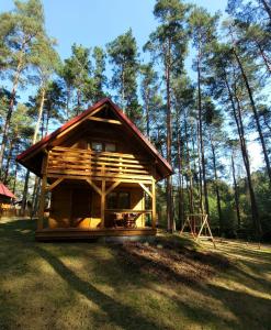 a small cabin in the middle of a forest at Domek pełen szczęścia in Borsk