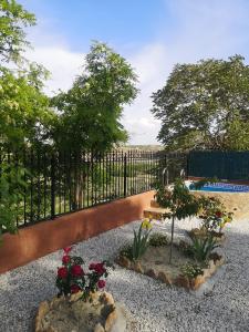 a garden with a fence and some plants and flowers at Casa Cueva Maite in Cortes de Baza
