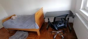 una piccola camera da letto con scrivania e sedia di Apartman Ana a Apatin
