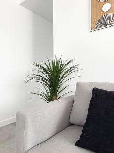 Posezení v ubytování Apartamentos Clotilde