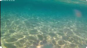 Gambar di galeri bagi Calma Di Mare di Nea Kalikratia