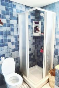 ein blau gefliestes Bad mit einem WC und einer Dusche in der Unterkunft Appartement Hammamet Nord in Hammamet Nord