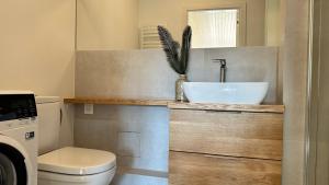 a bathroom with a sink and a toilet at City Center Appartment in Vilnius