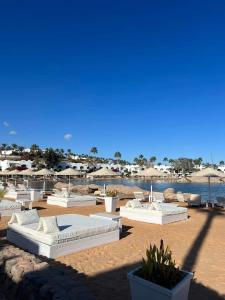 Villa Domina Coral Bay في شرم الشيخ: مجموعة من الأرائك البيضاء والمظلات على الشاطئ