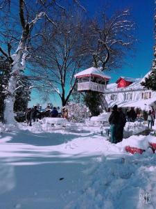 冬天的Alps Resort