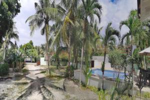 Avila's Hostel Moalboal near Beach 내부 또는 인근 수영장