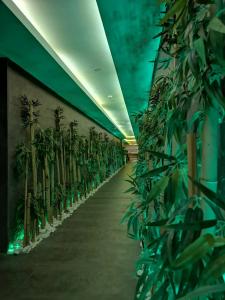 Kép Cam Thermal Resort Hotel & Spa szállásáról Kızılcahamamban a galériában