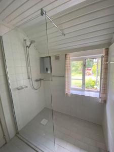 a bathroom with a shower with a glass door at Deichbrise in Aventoft