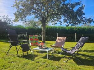 three chairs and a table in a yard with a tree at La Maison des Saveurs in Trouville-sur-Mer +17 photos