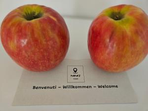 two apples sitting on top of a ruler at mama's room in Egna