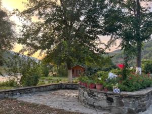 a garden with potted plants in a stone wall at Hera guesthouse in Çorovodë
