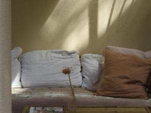 Clori Gaeta的休息区