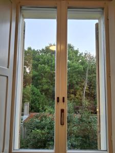 Zahrada ubytování Nessun dorma b&b Pesaro