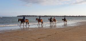 a group of people riding horses on the beach at Superbe vue mer Pornichet, au 5e + parking couvert in Pornichet +25 photos