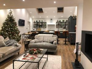 KenwynThe Cuckoo's Retreat - Luxurious home with private garden & jacuzzi的客厅里有一棵圣诞树