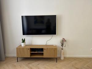 Televízia a/alebo spoločenská miestnosť v ubytovaní RákócziHome