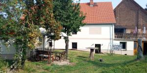 a house with a table and a tree in the yard at Ferienwohnung auf dem Gutshof Renz in Weißenfels