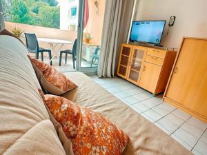 ein Wohnzimmer mit Sofa und Flachbildfernseher in der Unterkunft Appt T2 4 couchages climatisation piscine in Saint-Joseph