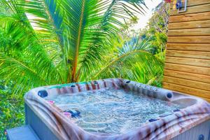 Fotografie z fotogalerie ubytování Blue Whale Villa - Deluxe v destinaci Calibishie