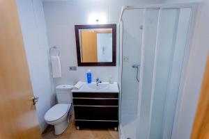Koupelna v ubytování Apartamentos Aixa II + 21 fotografií